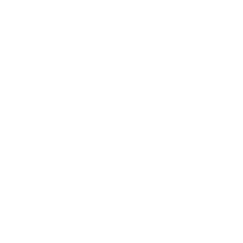 IRONSWEEP Digital Risk Intelligence Logo